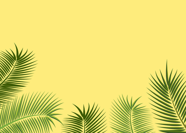 Flat lay leaves and branches of palm trees. - Vetor, Imagem