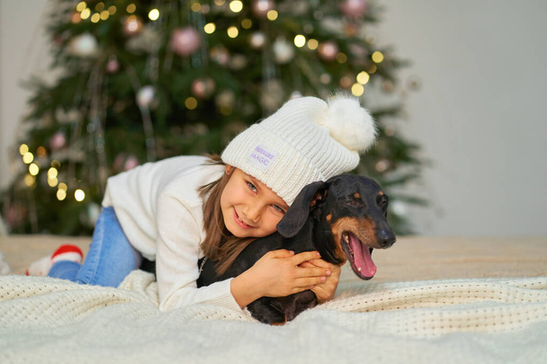 Happy childhood, Christmas magic fairy tale. A little girl is laughing with her friend, a dachshund dog, near the Christmas tree. - Zdjęcie, obraz