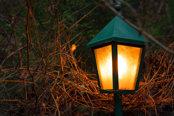 Oktober lantaarn oranje verlichting in de tuin buitenruimte nacht herfst concept park fotografie - Foto, afbeelding