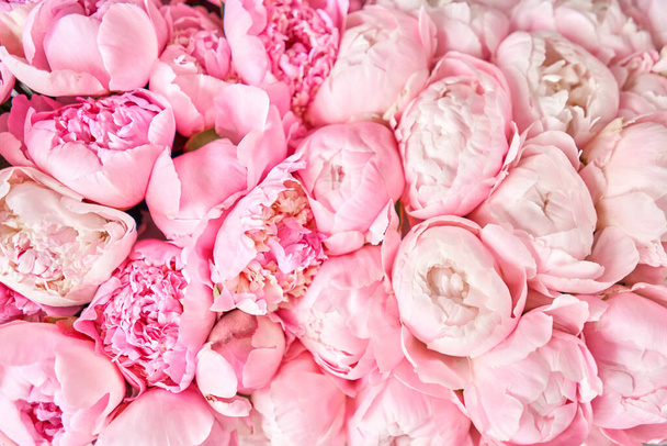 Bloementapijt of behang. Mooie roze pioenroos bloem voor catalogus of online winkel. Bloemenwinkel concept. Mooi vers gesneden boeket. Bloemen levering - Foto, afbeelding