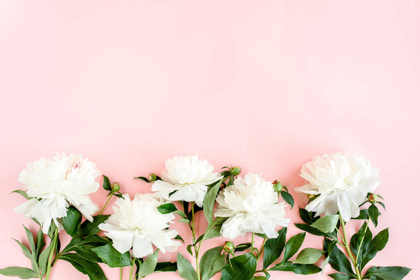 White peonies on pink background. Minimal floral concept greeting card. Flat lay, top view.  - Fotó, kép