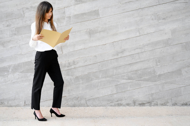 Portrait of a successful business woman holding documents. - Foto, imagen