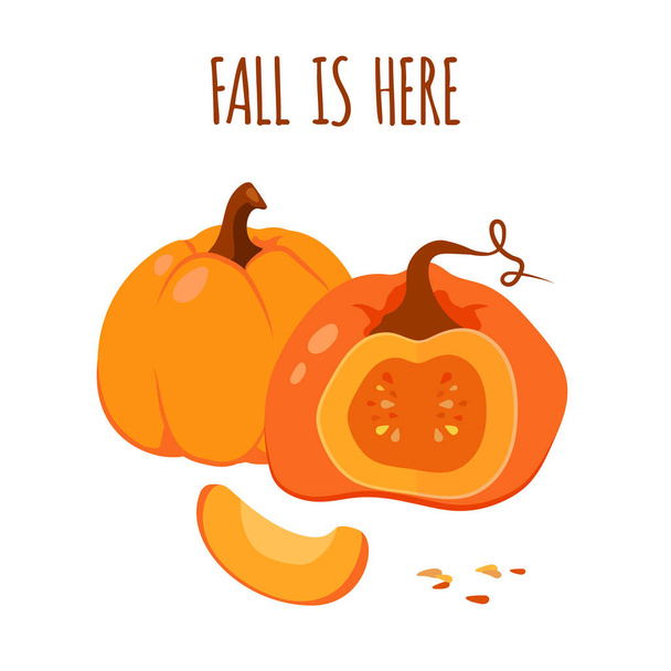 Autumn pumpkin card Thanksgiving vector closeup - Διάνυσμα, εικόνα