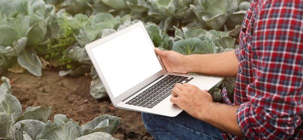Man using laptop with blank screen in field, closeup. Agriculture technology - Photo, Image
