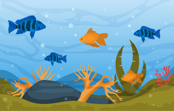 Bela ilustração de plantas de água de recife colorido de peixes de aquário - Vetor, Imagem