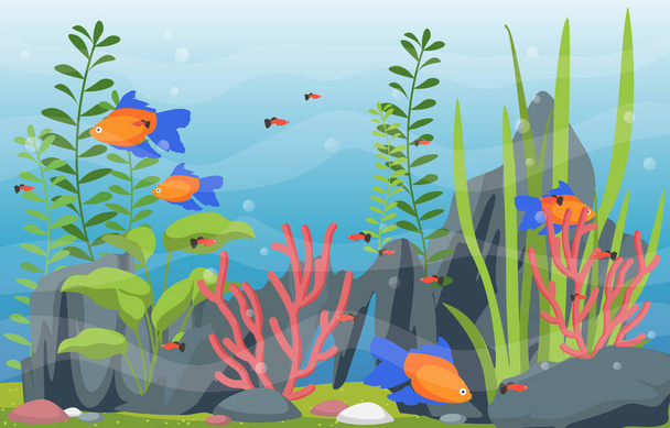 Hermoso acuario peces colorido arrecife agua planta ilustración - Vector, Imagen