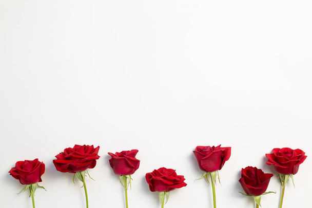 Red rose flowers on white background. flat lay, top view, copy space - Foto, Imagem