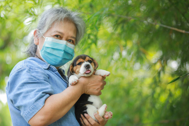 Muotokuva Senior Asia nainen suojaava naamio ja hänen pentu koira pelaa puistossa.Uusi normaali tyyli suojella virusta. - Valokuva, kuva
