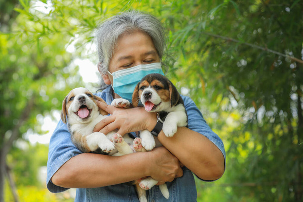 Korumacı maskeli yaşlı Asya 'lı kadının portresi ve parkta oynayan köpek yavrusu. Virüsü korumak için yeni normal stil.. - Fotoğraf, Görsel