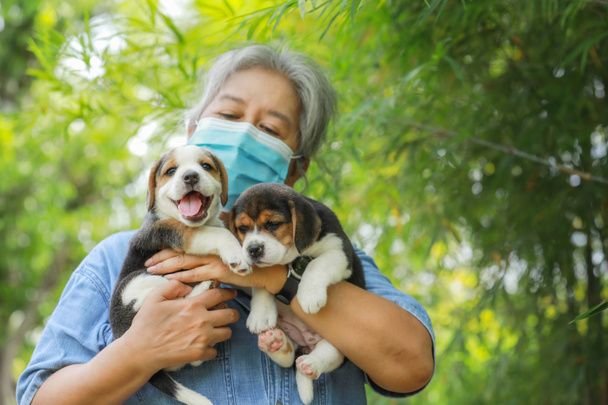 Ritratto di donna anziana asiatica con maschera protettiva e con il suo cucciolo di cane che gioca al park.New stile normale per proteggere il virus. - Foto, immagini