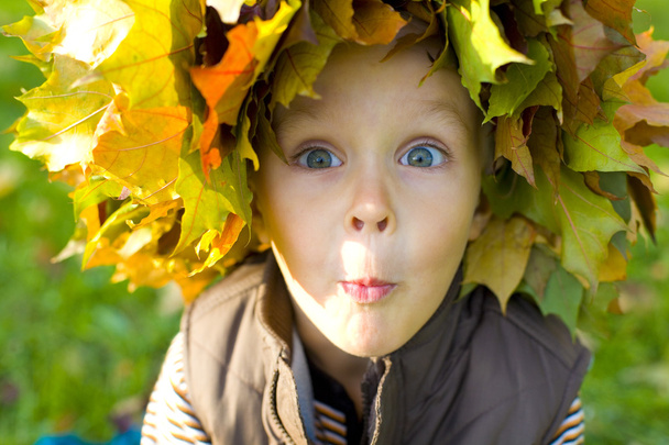Garçon émotionnel dans une couronne de feuilles d'automne
 - Photo, image