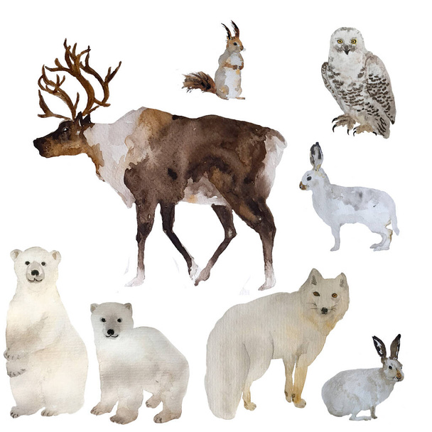Acuarela animales de invierno, ciervos, zorro polar, ardilla, liebres y osos blancos, búho polar, conjunto de ilustración dibujada a mano aislada sobre fondo blanco. - Foto, Imagen