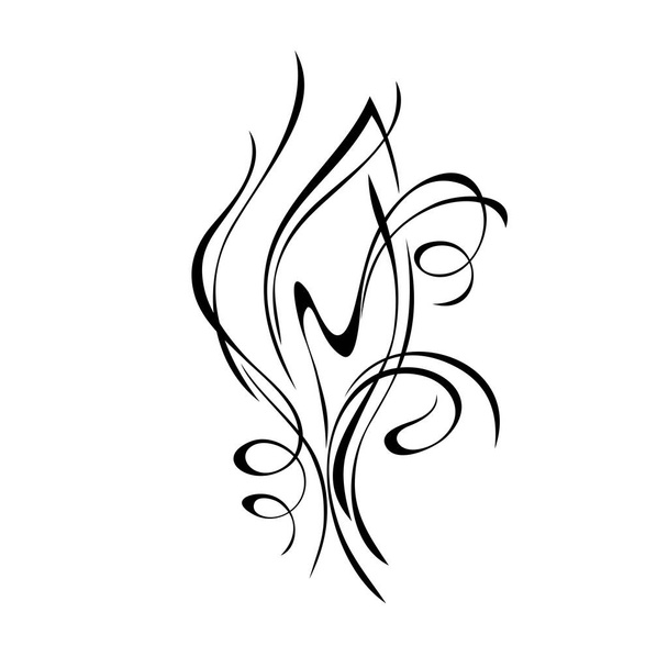 decorative abstract element with a stylized leaf and swirls in the form of black lines on a white background - Vetor, Imagem