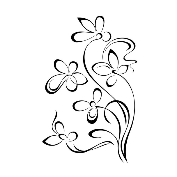decorative element with stylized flowers on stems and swirls in black lines on a white background - ベクター画像