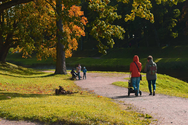autumn Park, a place of recreation - Foto, Imagen