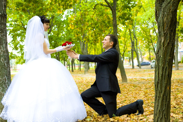 Bräutigam schenkt der Braut Blumen - Foto, Bild