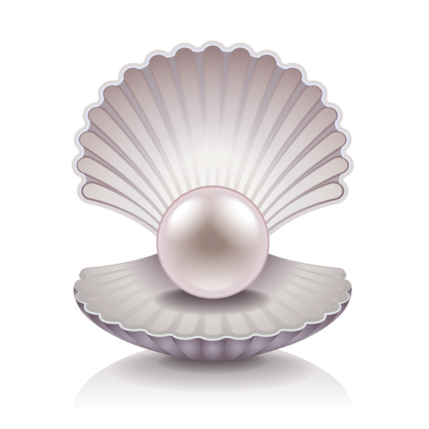 Shell with pearl vector illustration - Vector, Image