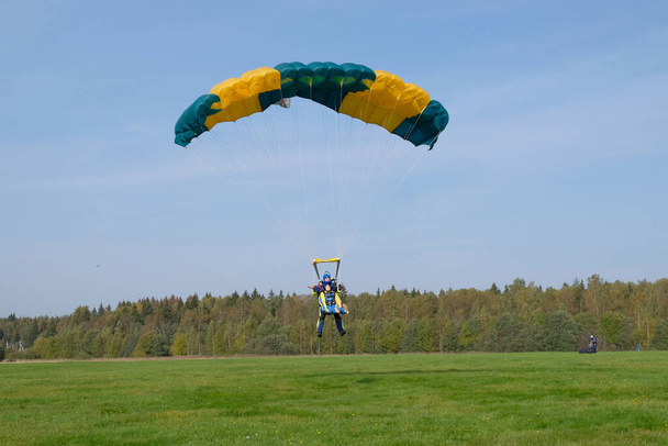 Skydiving. Tandem is landing on the green field. - Photo, Image