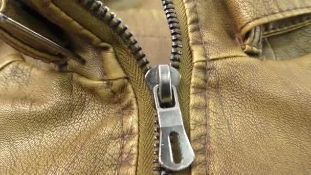 The zipper opens on the brown leather jacket. Green background. Chromakey. - Footage, Video