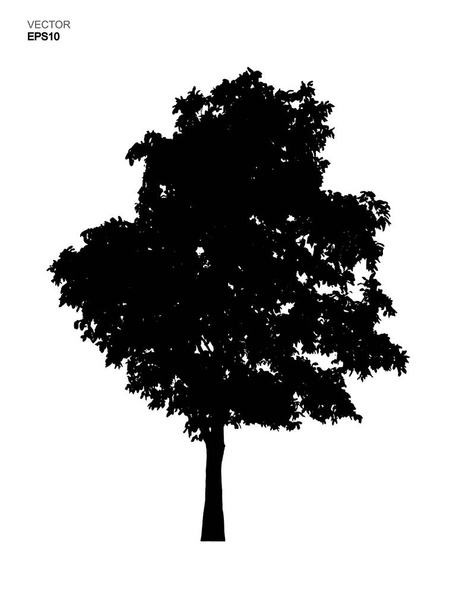 Silhouette tree isolated on white background. Park and outdoor object idea use for landscape design, architectural decorative. Vector illustration. - Vector, Image