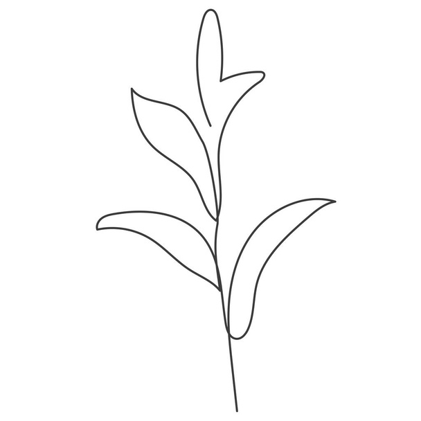 A plant drawn in a vector by one continuous line. Vector illustration - Vektor, Bild