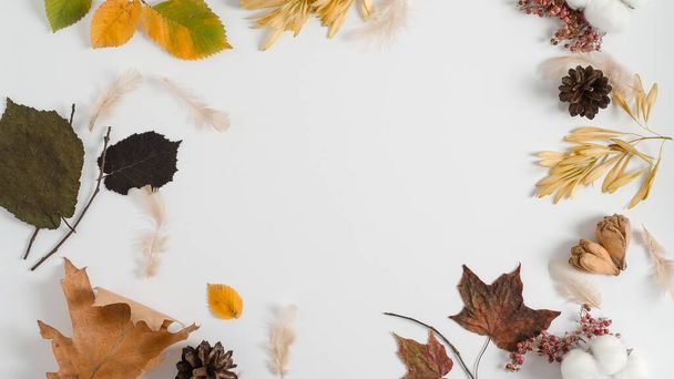 Rozvržení podzimních suchých materiálů z různých stromů na bílém pozadí. Kopírovat prostor, plochý prostor, koncepce podzimního rámu - Fotografie, Obrázek
