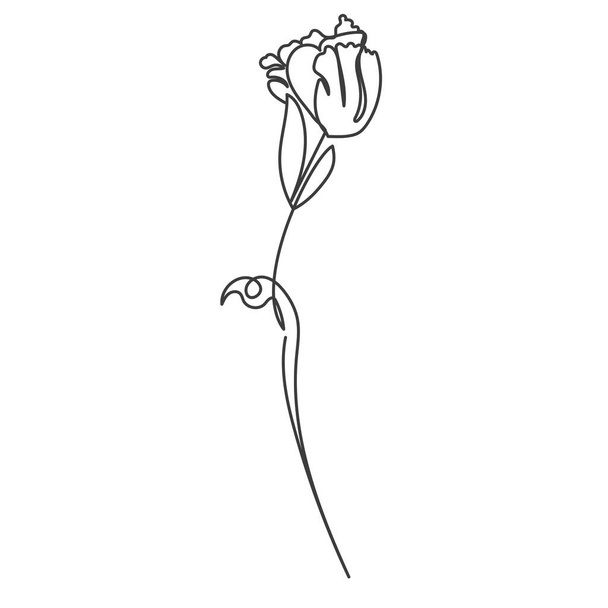 A plant drawn in a vector by one continuous line. Vector illustration - Vector, afbeelding