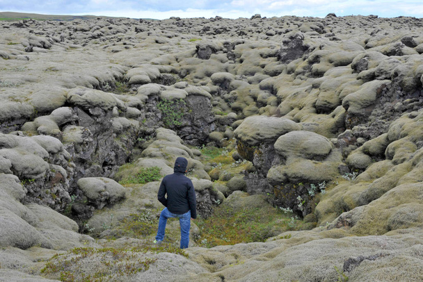 Iceland, moss, and musk landscape - Photo, Image