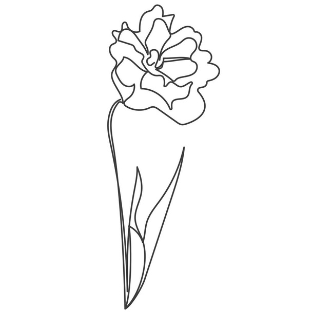 A plant drawn in a vector by one continuous line. Vector illustration - Vettoriali, immagini