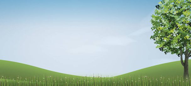 Дерево в зеленой траве холма области с голубым небом. Векторная иллюстрация. - Вектор,изображение