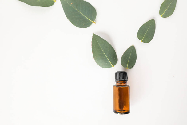 An essential oil bottle and laurel leaves on a white surface - Фото, изображение