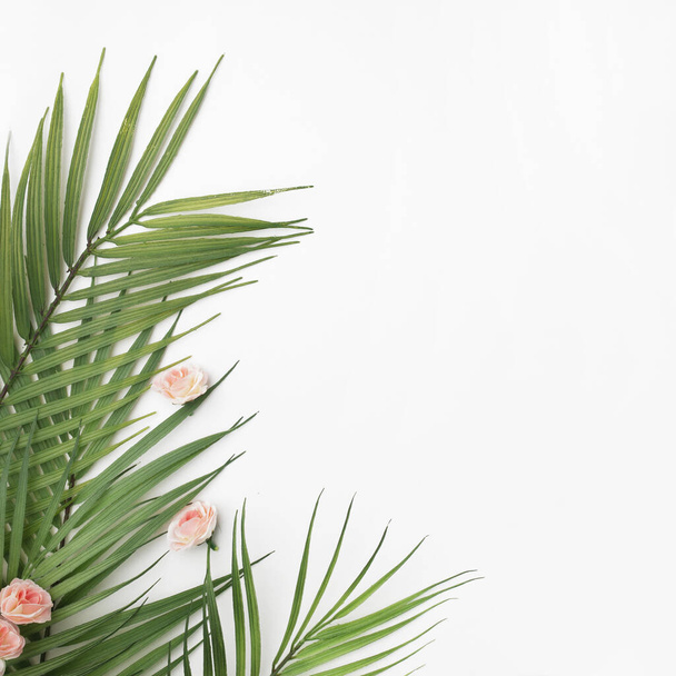 A frame from palm leaves on a white background with copy space - Fotografie, Obrázek