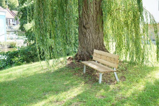 A wooden bench by a willow tree - Photo, image
