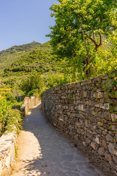 Europe, Italy, Cinque Terre, Corniglia, a stone wall - Photo, image
