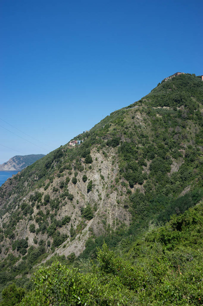 Europa, Italië, Cinque Terre, Corniglia, een boom met een berg op de achtergrond - Foto, afbeelding