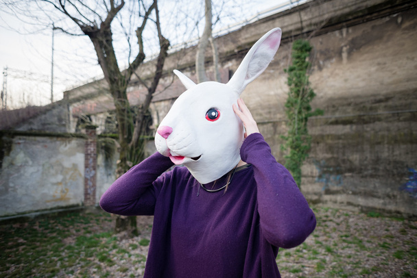 Hipster w maska królik - Zdjęcie, obraz