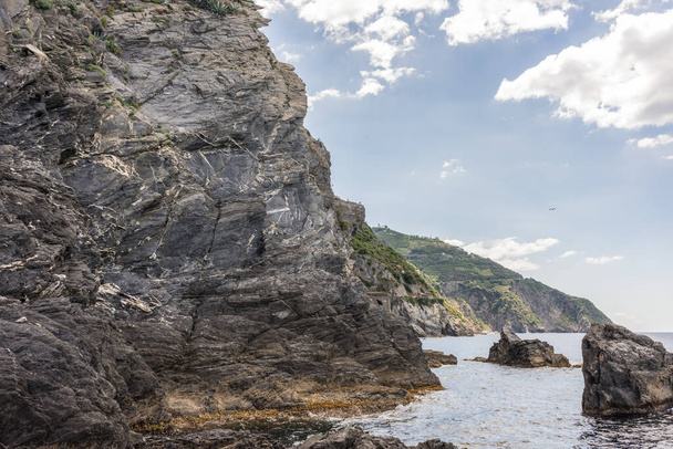Європа, Італія, Cinque Terre, Манарола, скелястий острів посеред водоймища. - Фото, зображення