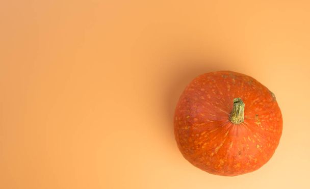 Creative layout made of pumpkin on the orange background. Flat lay. - Photo, Image