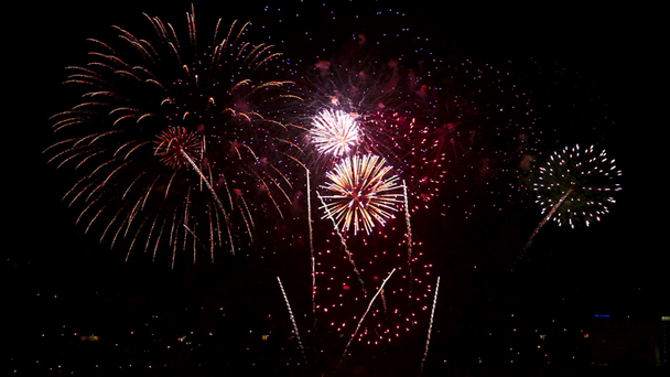 Fireworks - Footage, Video