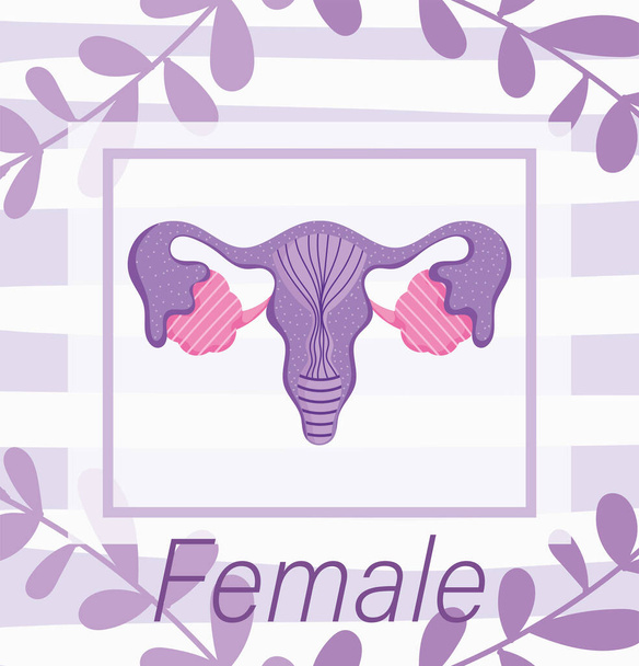női emberi reproduktív rendszer, virágos természet biológia anatómia - Vektor, kép
