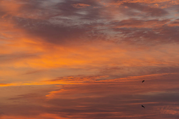 Tuliset pilvet aamutaivaalla auringonnousun aikana - Valokuva, kuva