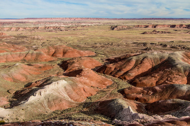 Painted Desert Petrified Forest National Park si affaccia su un frastagliato paesaggio desertico a Holbrook, Arizona. - Foto, immagini