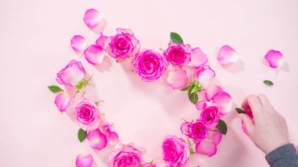 Acostado. Rosas rosadas frescas sobre un fondo rosa. - Foto, Imagen