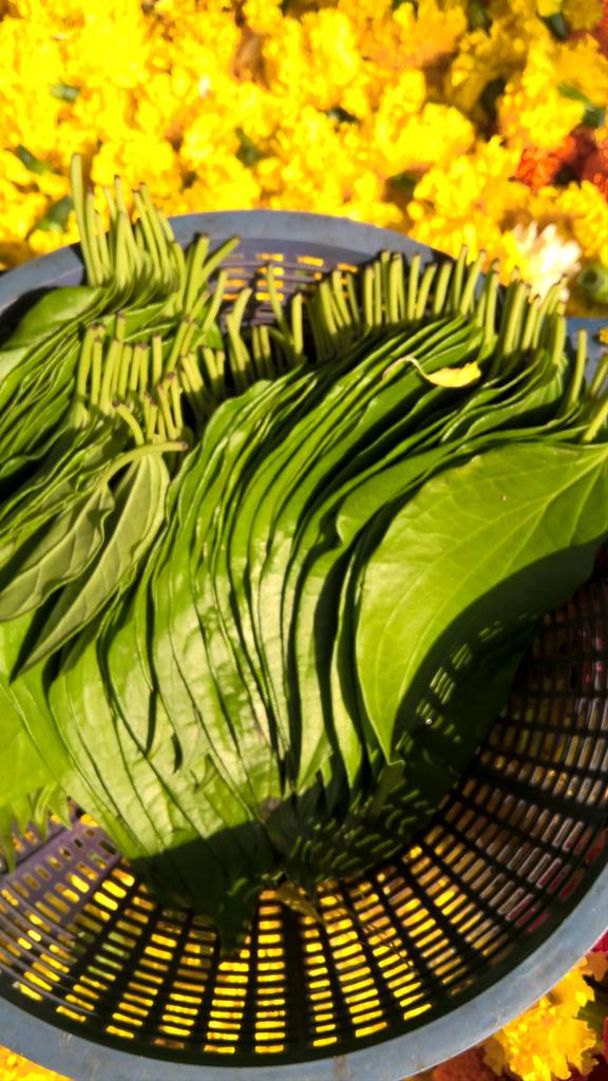 closeup view of Betel leaf kept in basket - Photo, Image