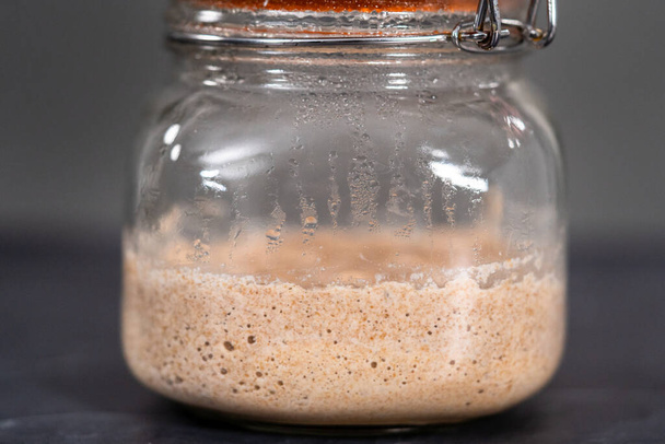 Entrante casero de masa madre de trigo en un frasco de albañil de vidrio. - Foto, imagen
