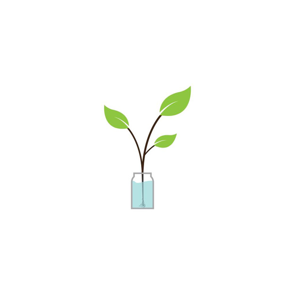 Pflanze Symbol Vektor Design Illustration Hintergrund - Vektor, Bild