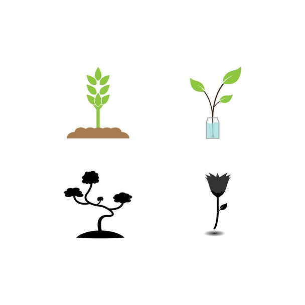 növényi ikon vektor tervezés illusztráció háttér - Vektor, kép