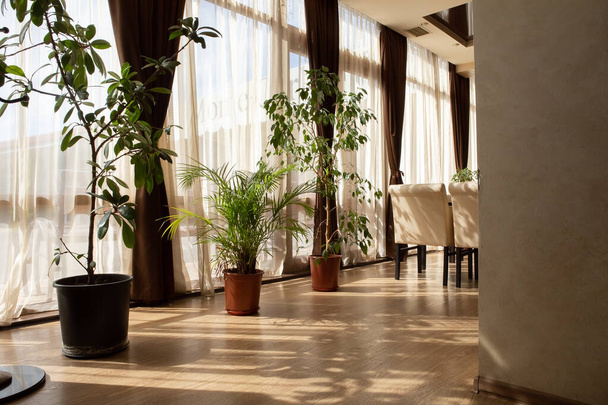 detalhes interiores de um restaurante, café, sala de estar. Fundo bege suave com plantas verdes. Restaurante conceito interior - Foto, Imagem