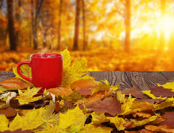 Hojas de otoño y taza de café caliente y humeante. Mesa de madera sobre fondo de luz solar. Concepto de otoño. - Foto, Imagen