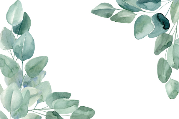 Wenskaart, uitnodiging, ansichtkaart met eucalyptus op geïsoleerde witte achtergrond, aquarelillustratie  - Foto, afbeelding